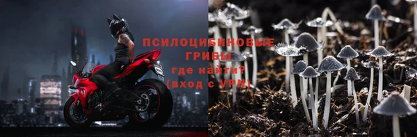 apvp Алексин