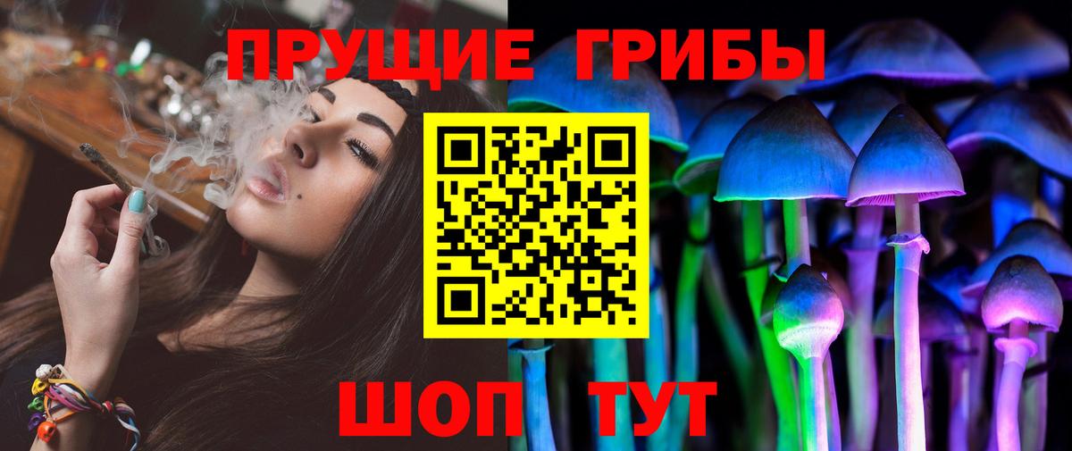 Курчалой  Галлюциногенные грибы MAGIC MUSHROOMS  Галлюциногенные грибы прущие грибы  Вход с VPN 