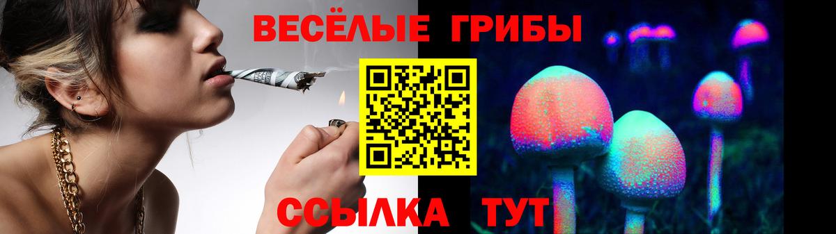 Псилоцибиновые грибы прущие грибы Курчалой